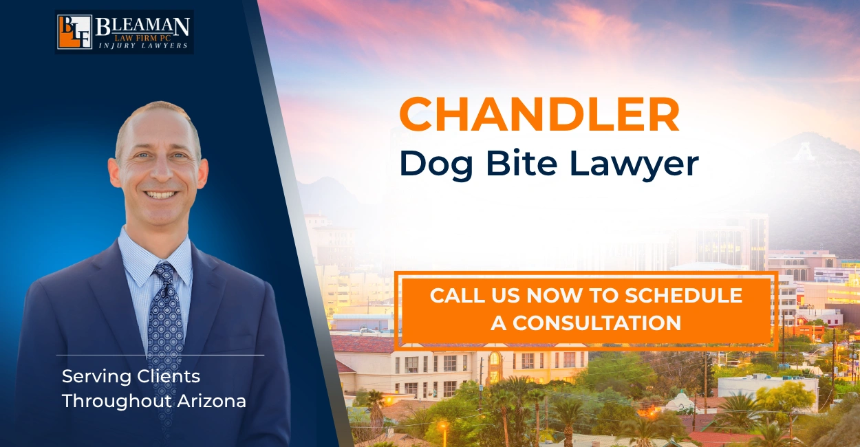 Best Chandler Dog Bite Lawyer Chandler Dog Bite Lawyer