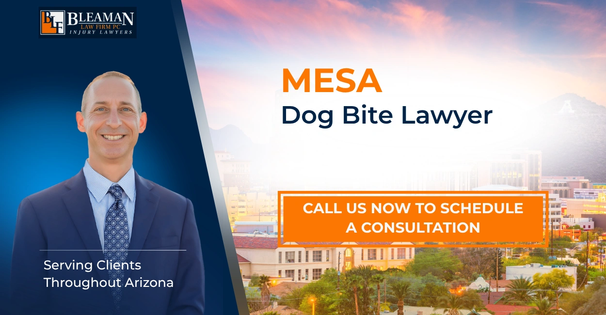 Best Mesa Dog Bite Lawyer Mesa Dog Bite Lawyer