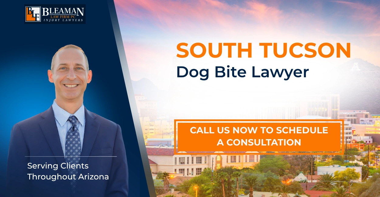Best South Tucson Dog Bite Lawyer South Tucson Dog Bite Lawyer