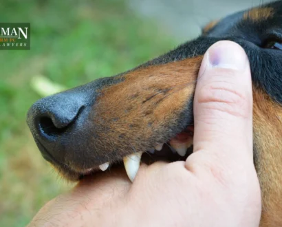 How Long Do I Have To File a Dog Bite Claim in Arizona?