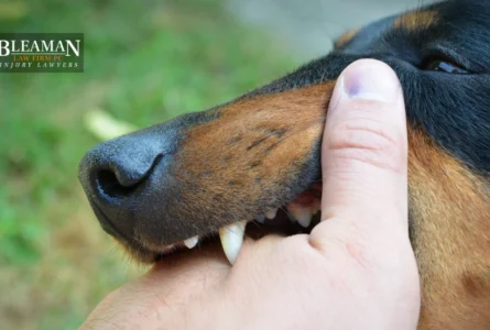 How Long Do I Have To File a Dog Bite Claim in Arizona?