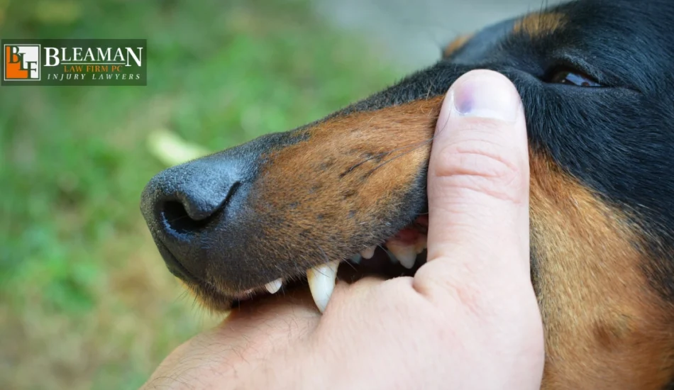 How Long Do I Have To File a Dog Bite Claim in Arizona?