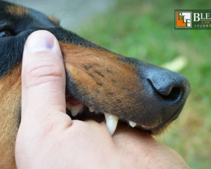 How Long Do I Have To File a Dog Bite Claim in Arizona?