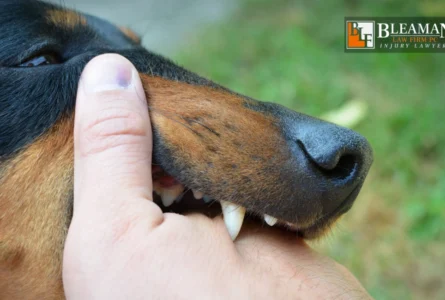 How Long Do I Have To File a Dog Bite Claim in Arizona?