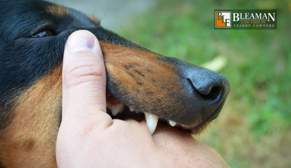 How Long Do I Have To File a Dog Bite Claim in Arizona?